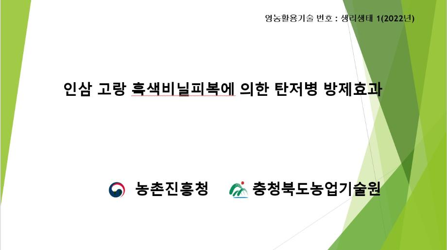 영농활용기술(생리생태 분야, 인삼) 카드뉴스