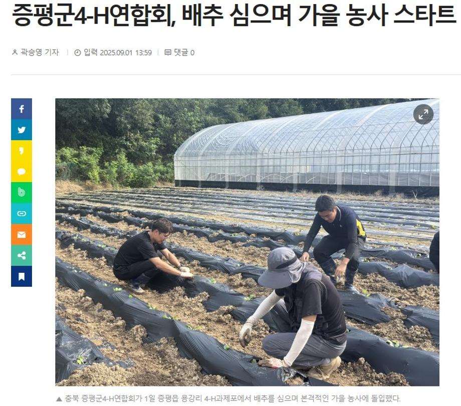 증평군4-H연합회, 배추 심으며 가을 농사 스타트