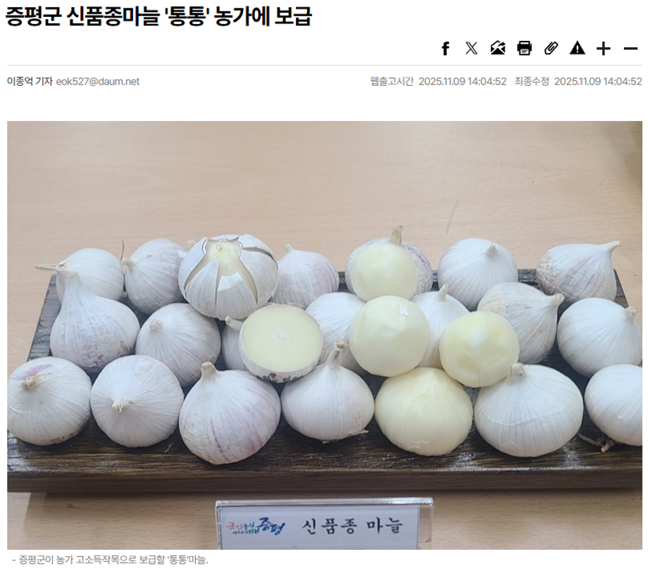 증평군 신품종마늘 '통통' 농가에 보급