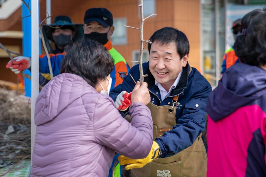 내나무 갖기 캠페인