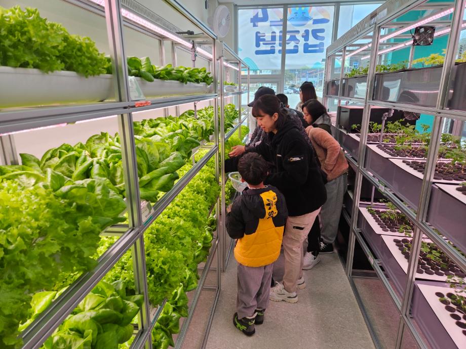 증평군, 어린이와 함께하는 스마트팜 &lsquo;방과 후 꼬마농부&rsquo;