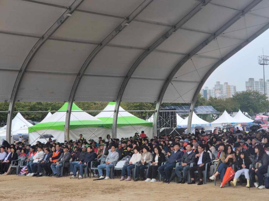 제31회 증평 인삼골축제 본격 시작