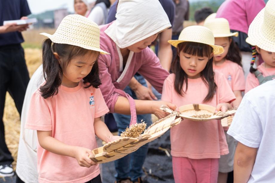 증평군, 전통 보리타작 체험행사...&lsquo;자연의 소중함과 학교 설립 염원 함께 나눠&rsquo;