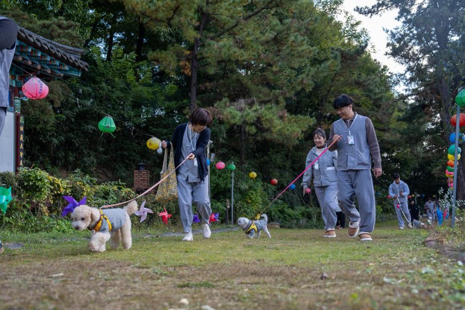 증평군, 한국관광공사와 함께하는 &lsquo;댕플스테이&rsquo;인기