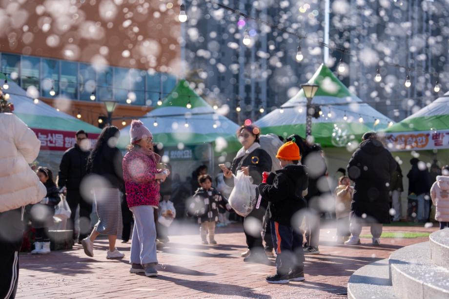 증평군, 빨강과 초록... 삼삼(蔘蔘)한 크리스마스를 물들이다.