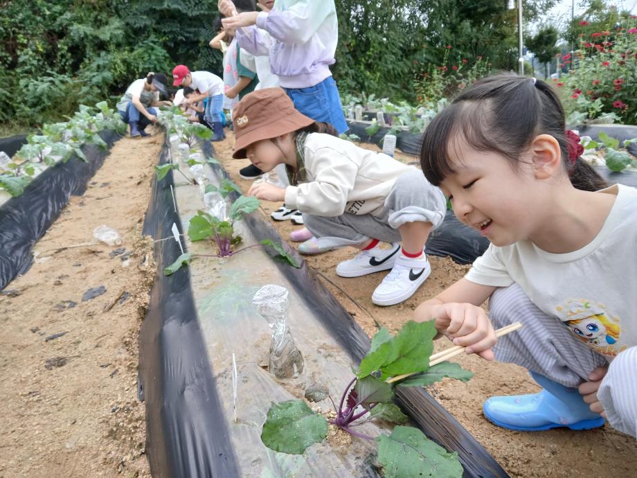 증평 정안농촌체험휴양마을, 아이·어른 함께 배우다.