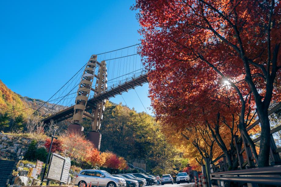 증평 좌구산 자연휴양림, 한국관광공사 우수 웰니스 관광지 재지정