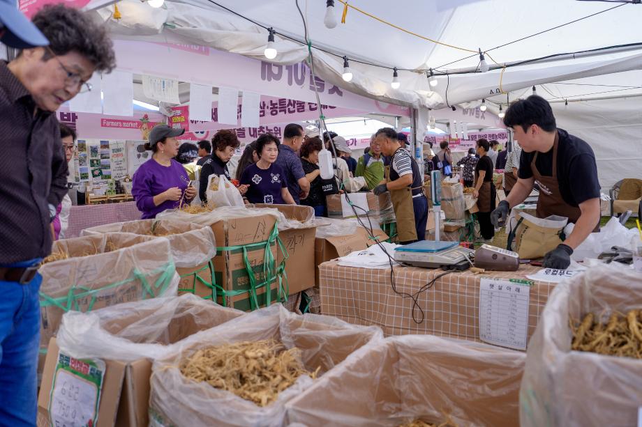 제33회 증평인삼골축제, 42만 명 찾았다... 농특산물 판매도 활기
