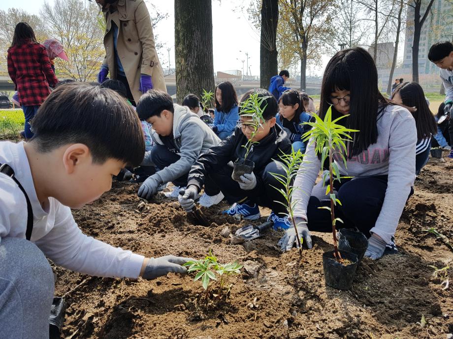 미루나무 숲, 학생과 함께하는 숲속 동심꽃밭으로 더 아름답게