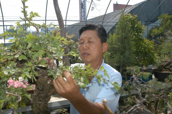 분재전시로 이어가는 ‘특별한 인연’