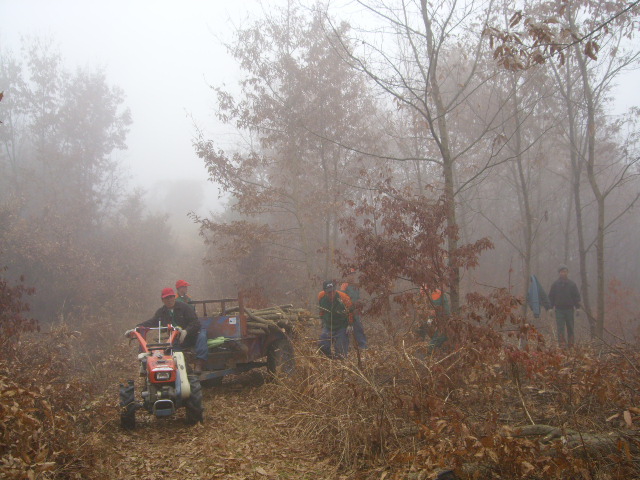 산림사업, 기간제 근로자 모집