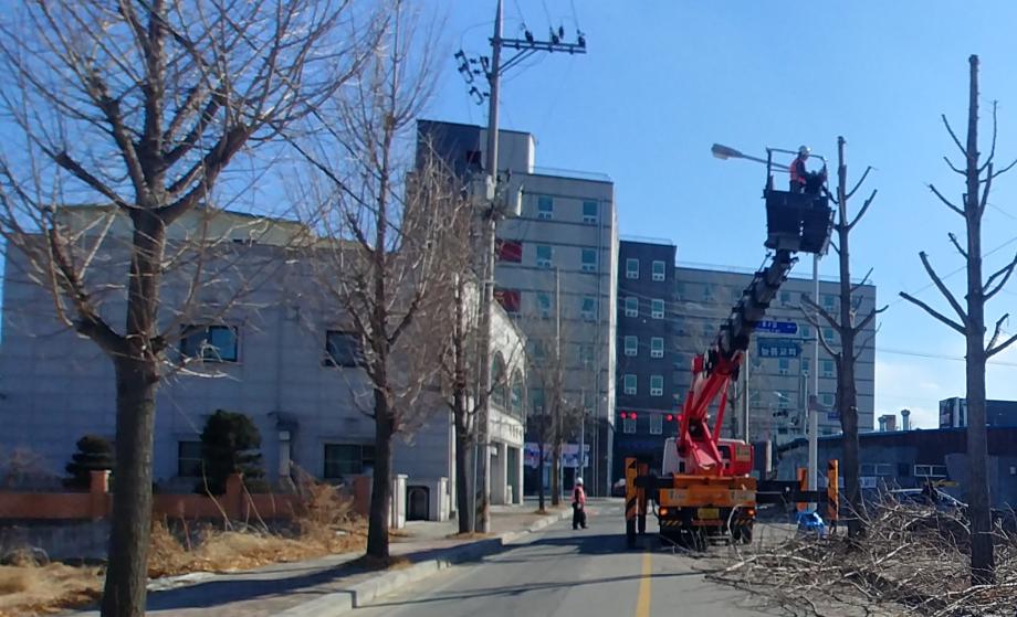 증평군, 가로수 가지 정리로 경관 개선