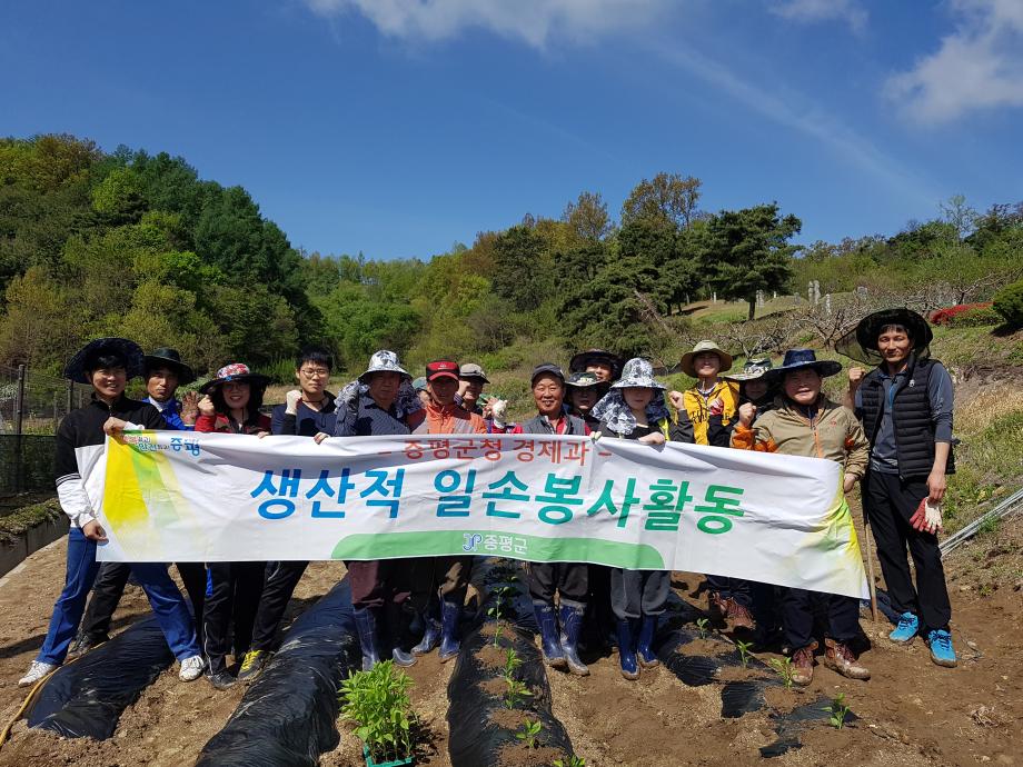 증평군 경제과 직원들, 휴일도 반납한 채 농가 일손 돕기에 앞장