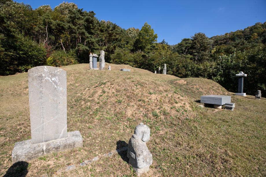 도 지정 기념물 김득신 묘소