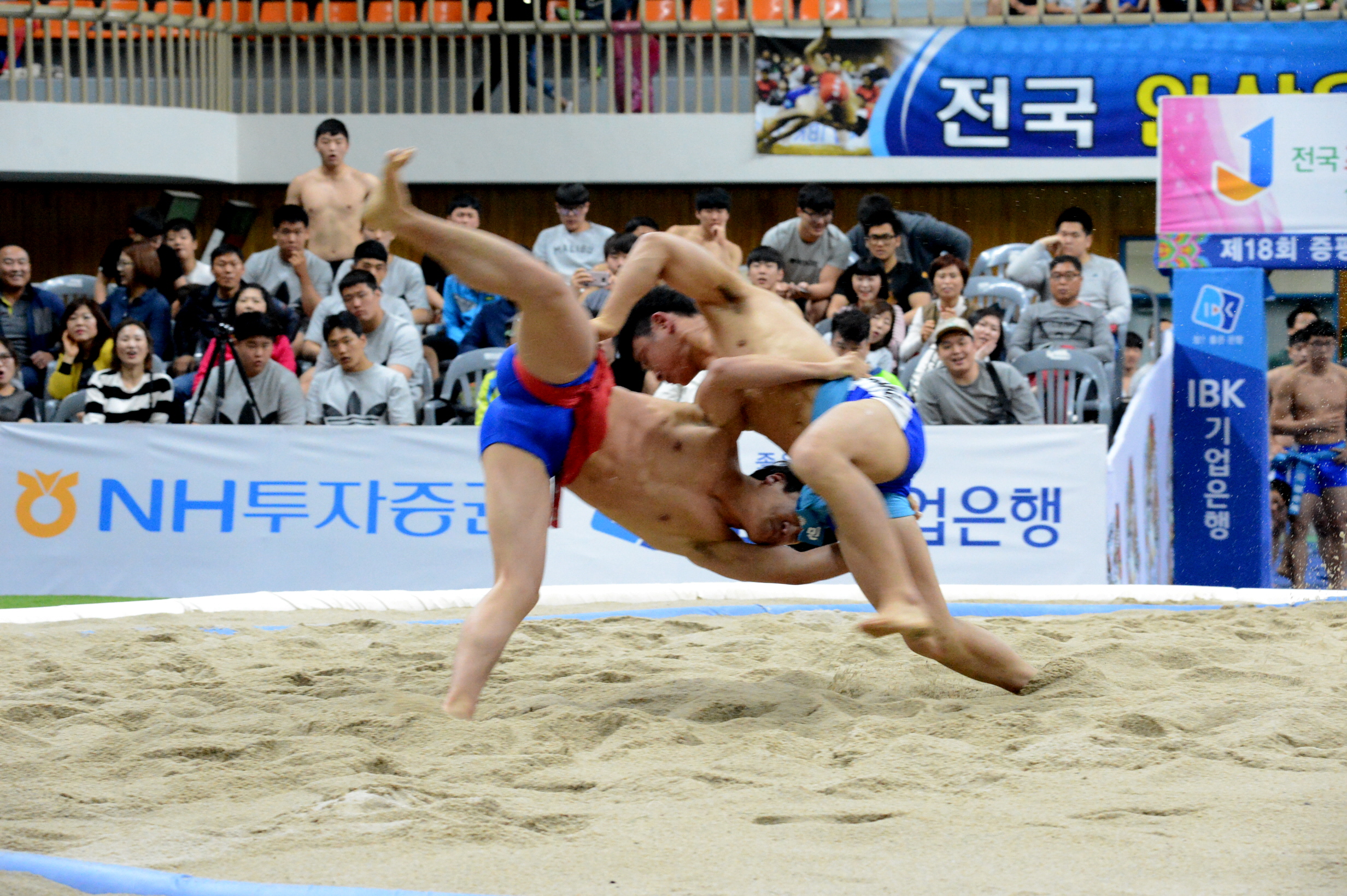 제18회 증평인삼배전국씨름대회 명장면-1(14일)