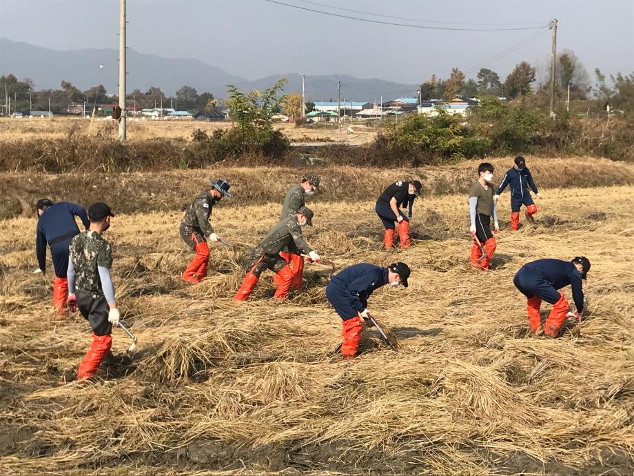 증평군, 수확 어려운 고령농가 긴급 일손돕기 나서