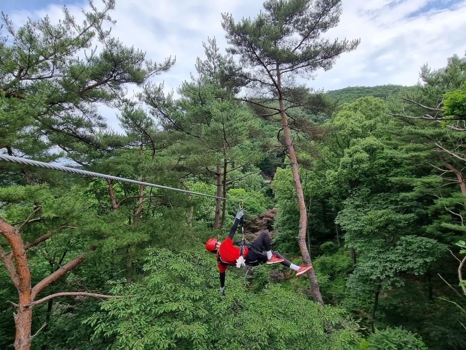 좌구산휴양랜드, 캠핑장․레포츠시설 운영 재개